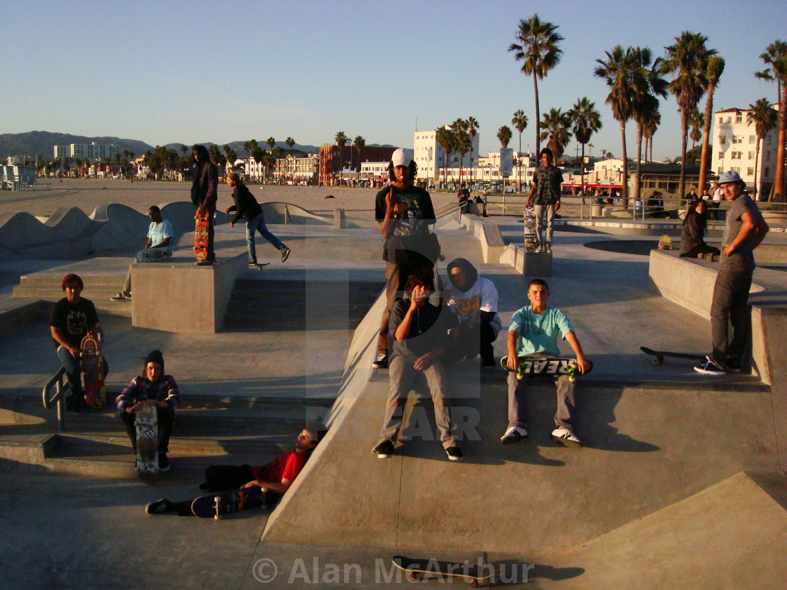 "Board Dudes" by Alan McArthur - $77.88 "Board Dudes" stock image