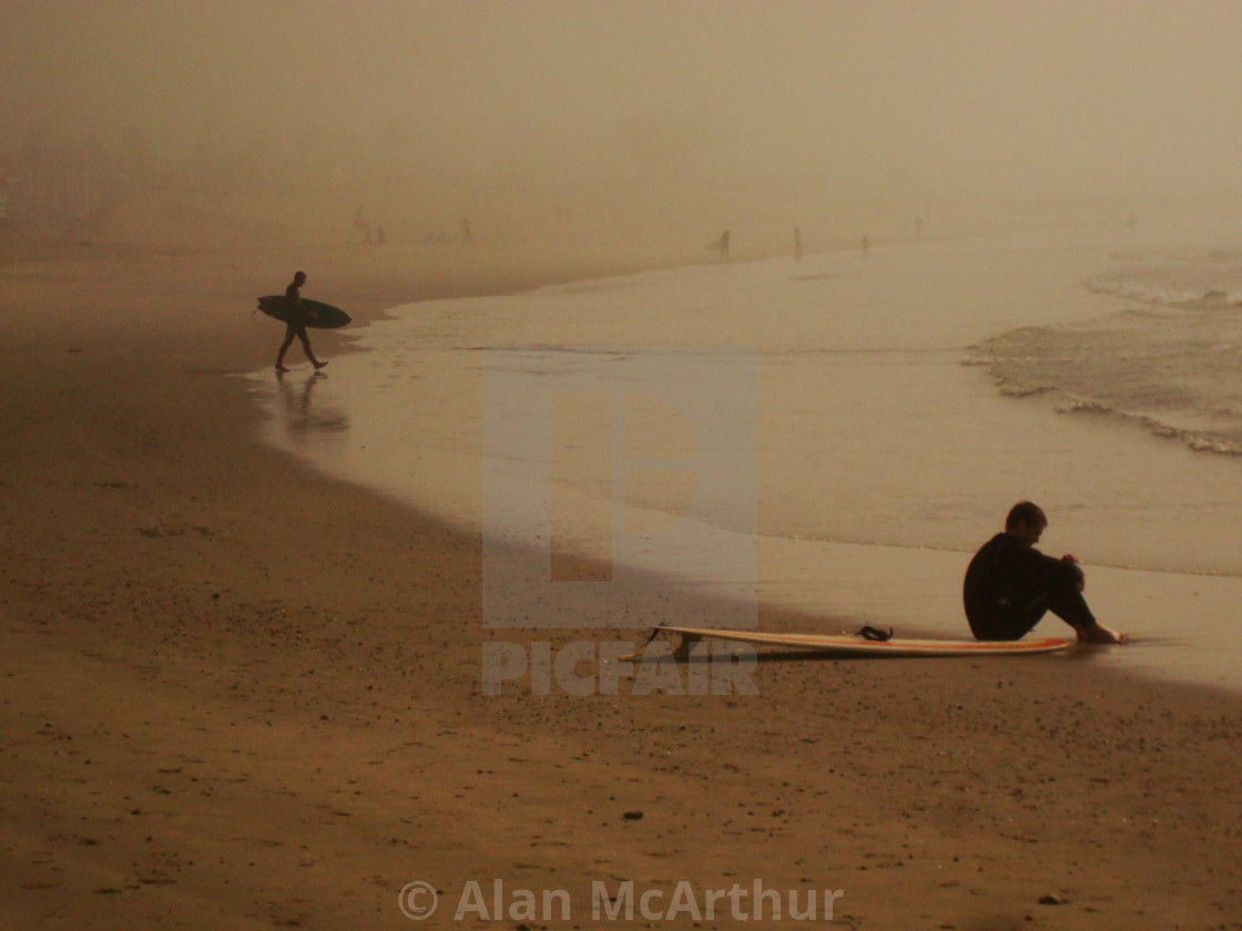 "Board Dudes" by Alan McArthur - $77.88 "Board Dudes" stock image