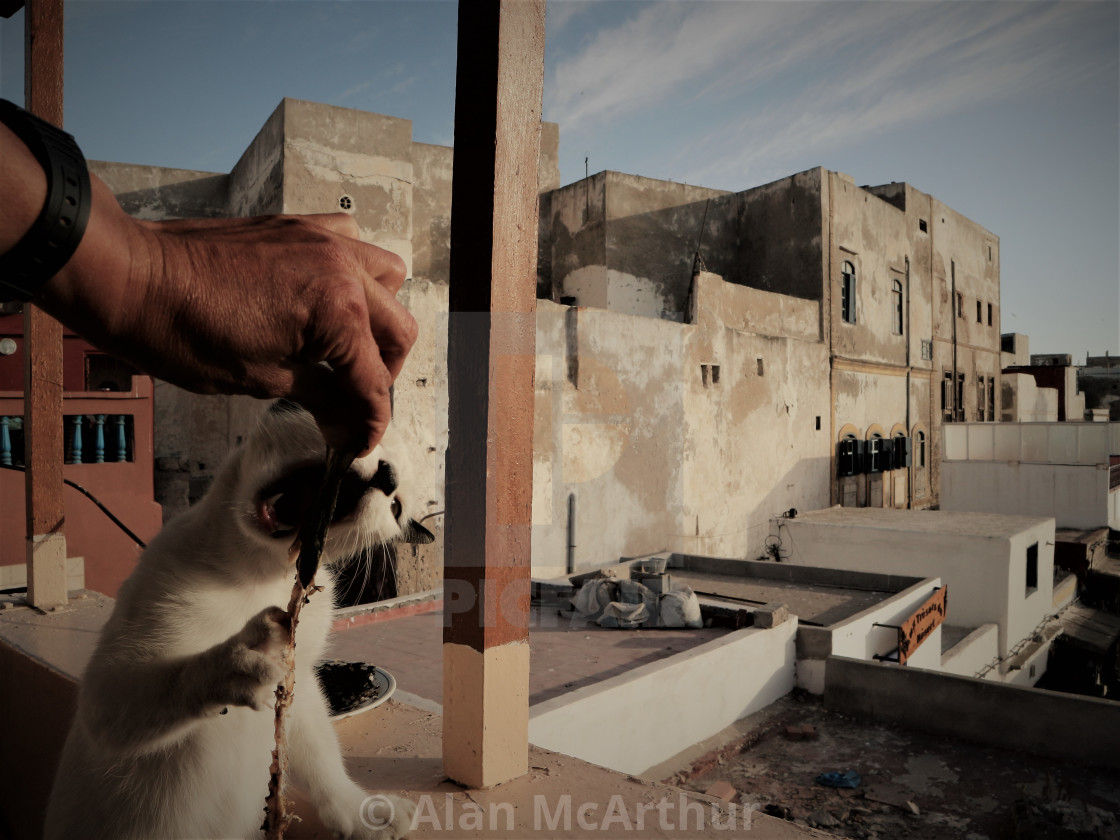 "The Real Maroc" by Alan McArthur - $77.88 "The Real Maroc" stock image