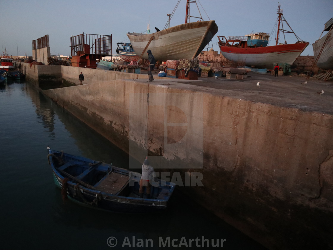 "Life's a Fish" by Alan McArthur - $76.83 "Life's a Fish" stock image