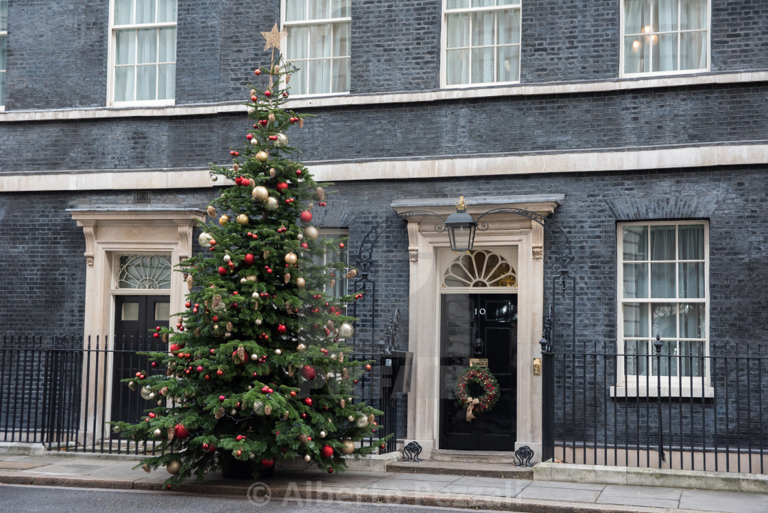 Christmas Tree Outside Downing Street London Uk 04 Dec 2017 License Download Or Print For 12 40 Photos Picfair