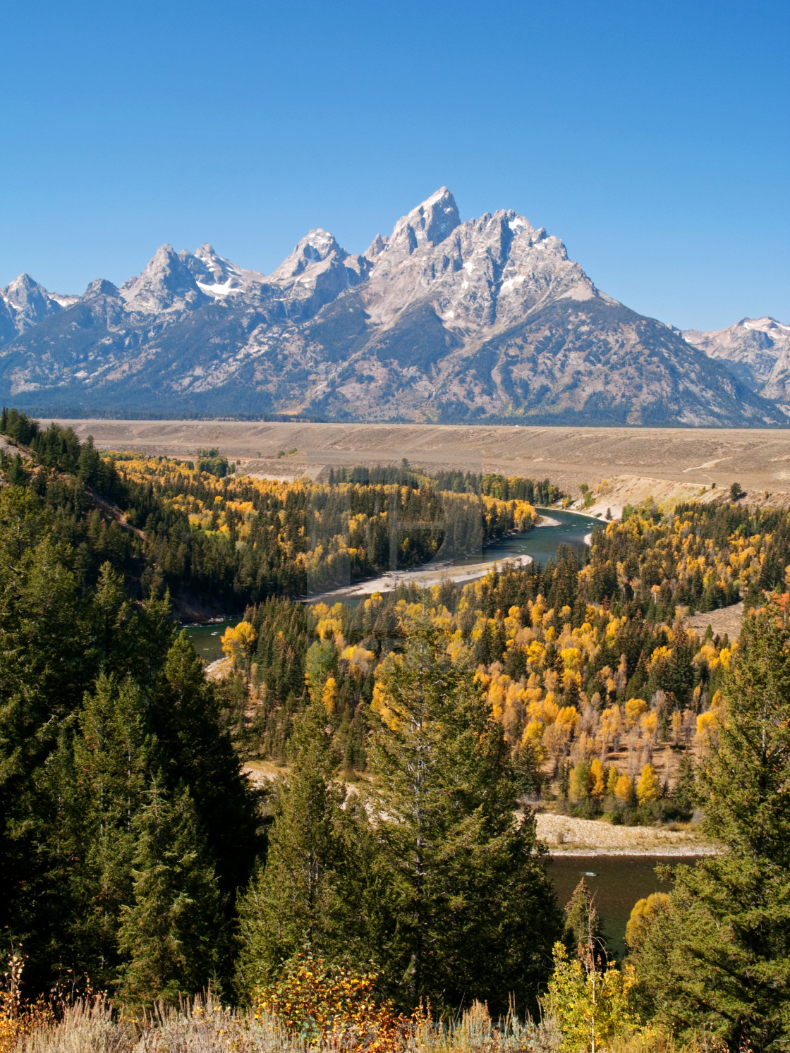 "The Snake River and the Tetons" stock image