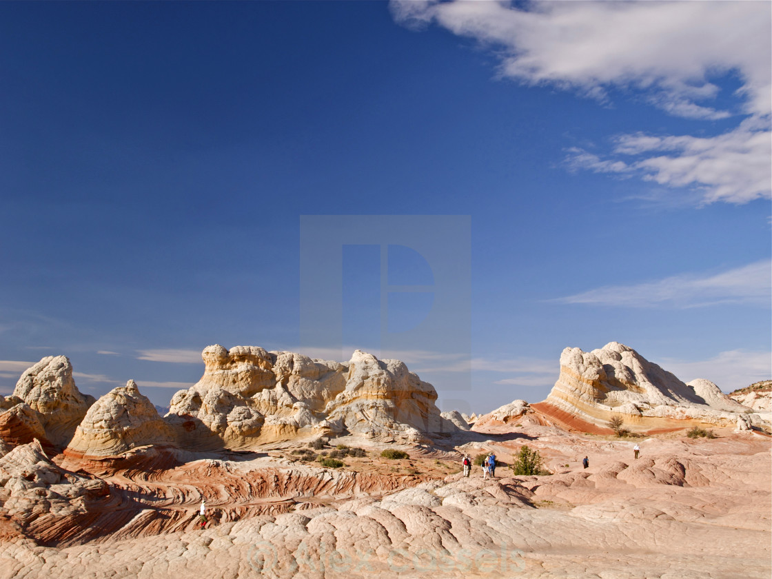 "White pocket" by Alex cassels - $31.56 "White pocket" stock image