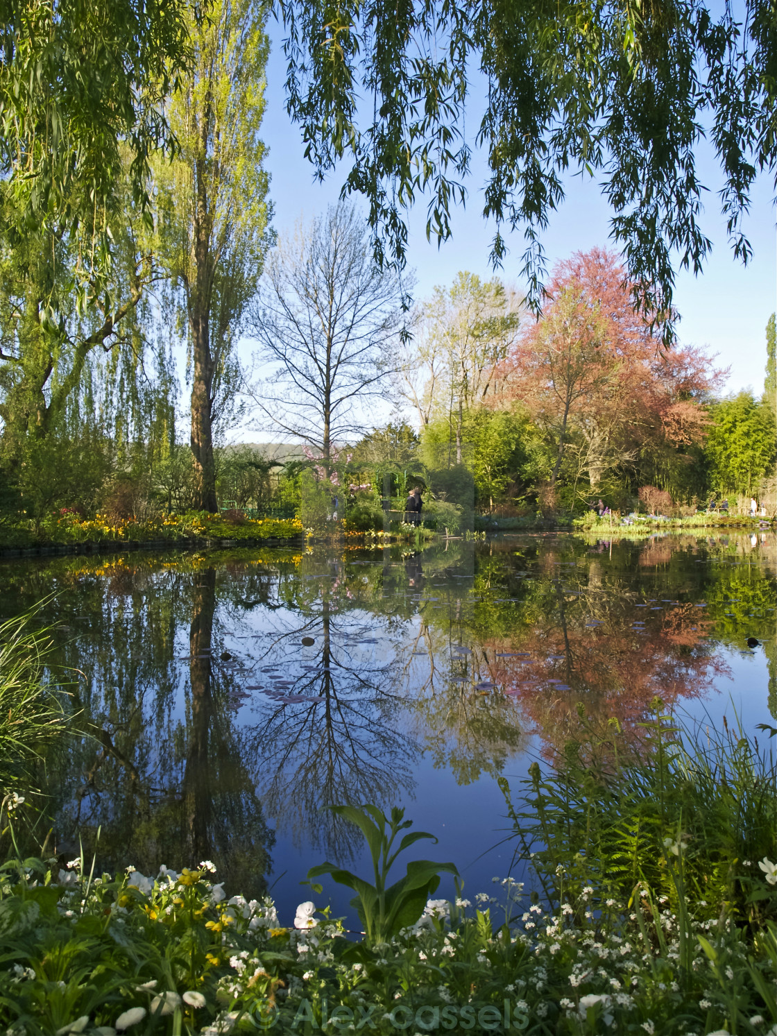 "Spring water garden at Giverny" stock image