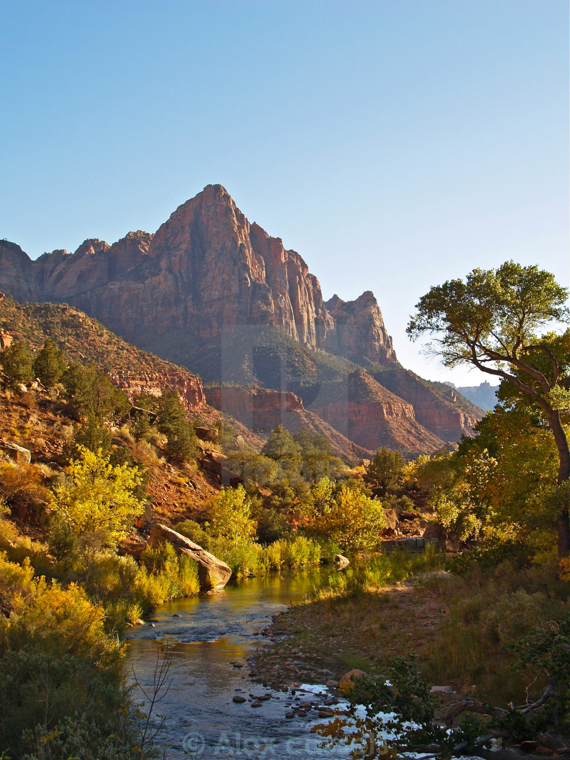 "The Watchman of Zion" stock image