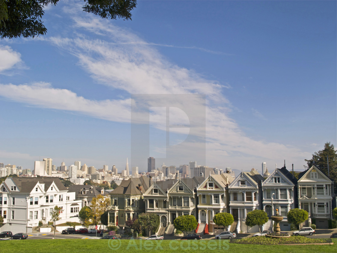 "The Painted Ladies" by Alex cassels - $31.72 "The Painted Ladies" stock image