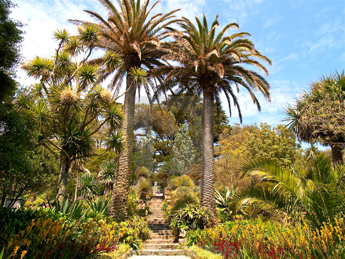 "Tresco Abbey Gardens" stock image