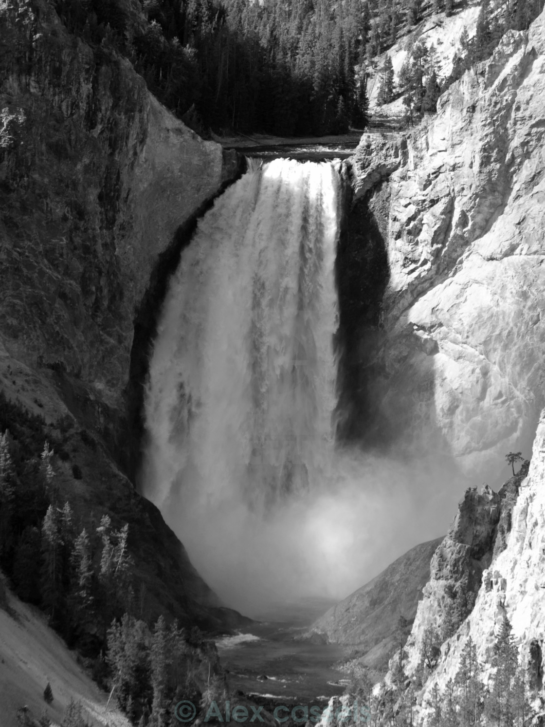 "Lower Yellowstone Falls" stock image