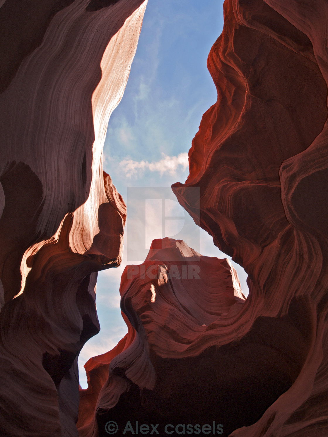 "View to the Heavens" by Alex cassels - $31.58 "View to the Heavens" stock image