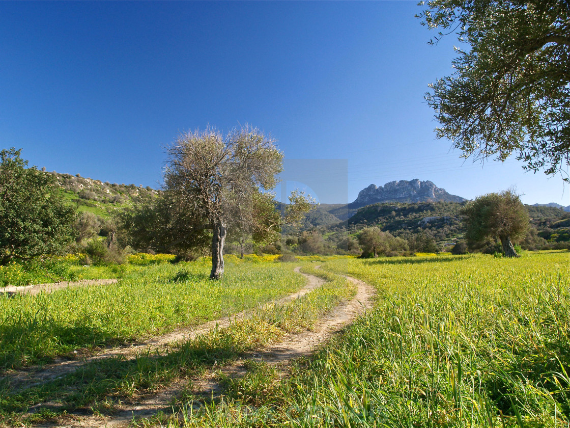 "Springtime in Cyprus" stock image