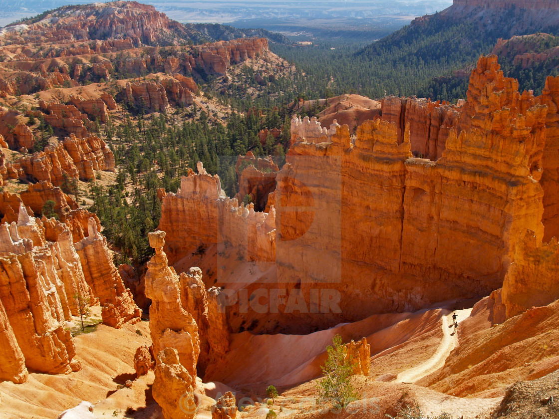 "The Navajo Trail" stock image