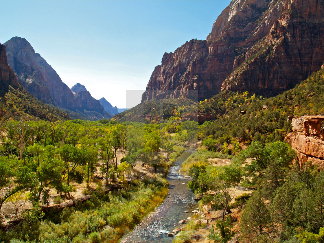 "Zion National Park" stock image