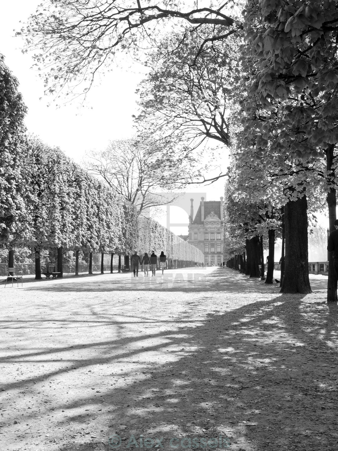"Jardin des Tuileries" by Alex cassels - $31.58 "Jardin des Tuileries" stock image