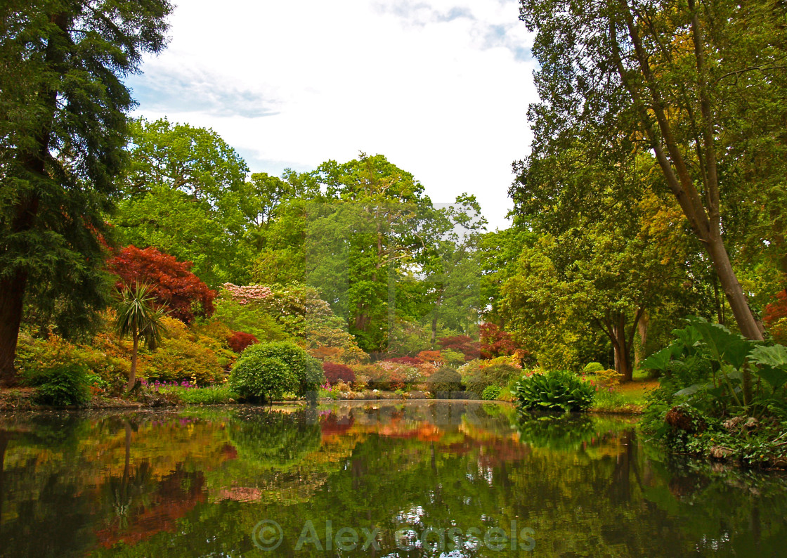 "Exbury Gardens" by Alex cassels - $31.72 "Exbury Gardens" stock image
