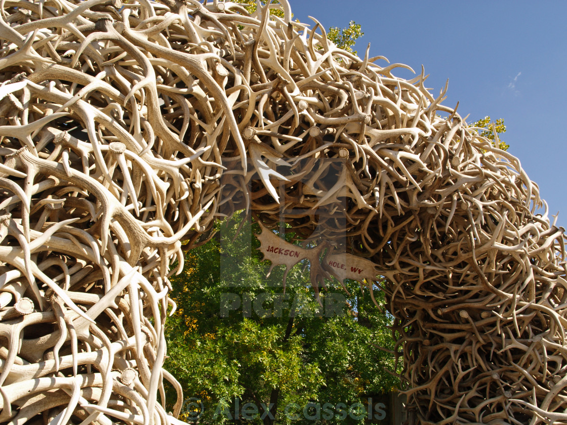 "Antler Arch in Jackson Hole" by Alex cassels - $31.72 "Antler Arch in Jackson Hole" stock image