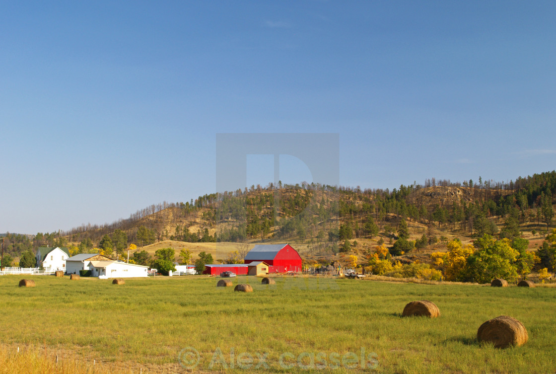 "The Red Barn" stock image