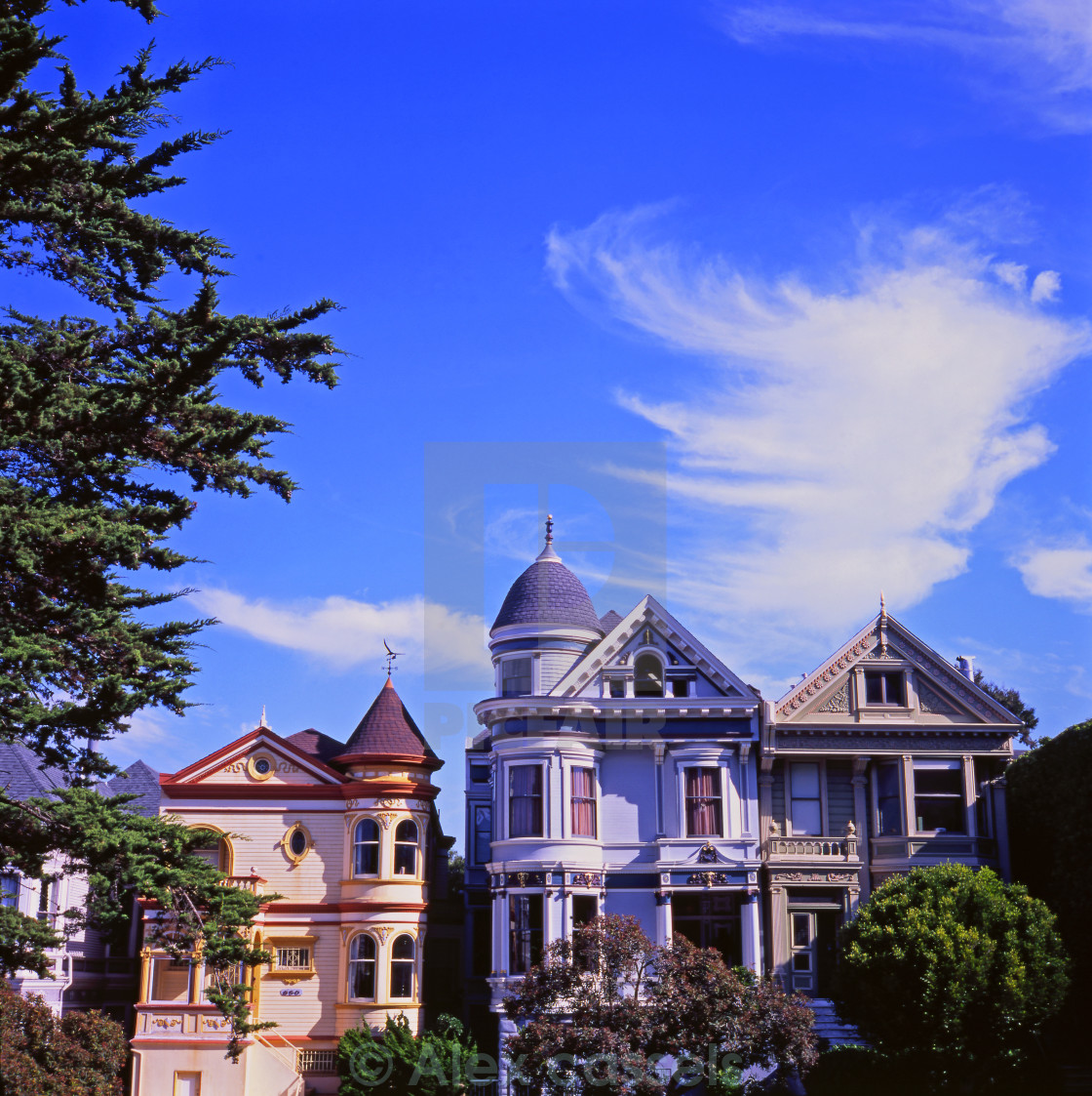 "Alamo Square" by Alex cassels - $31.72 "Alamo Square" stock image