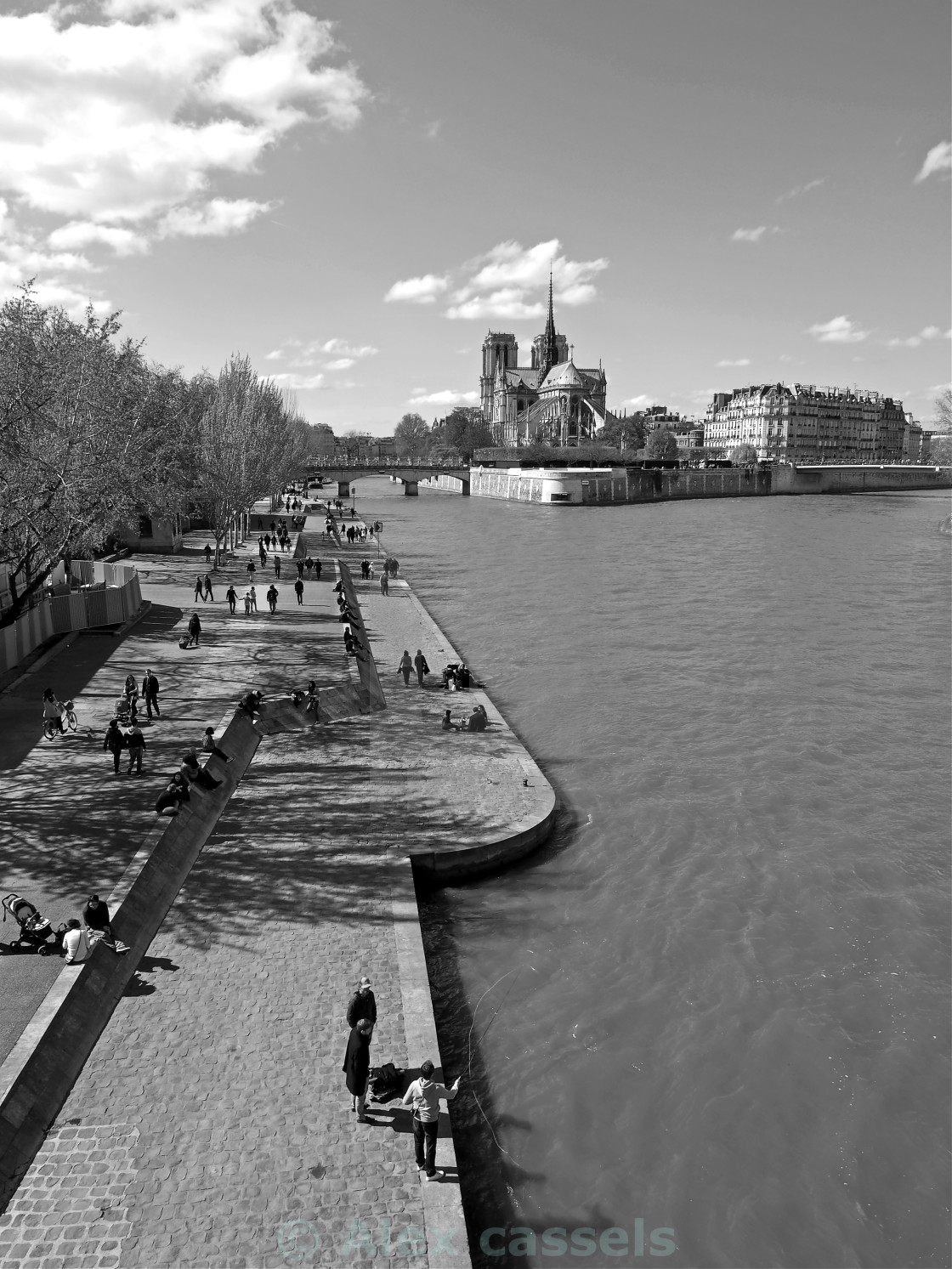 "Pont de la Tournelle" by Alex cassels - $31.56 "Pont de la Tournelle" stock image