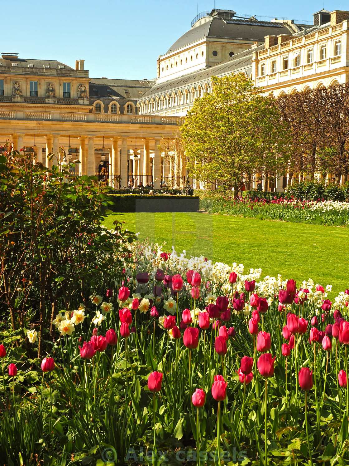 "The Palais-Royal Gardens" stock image