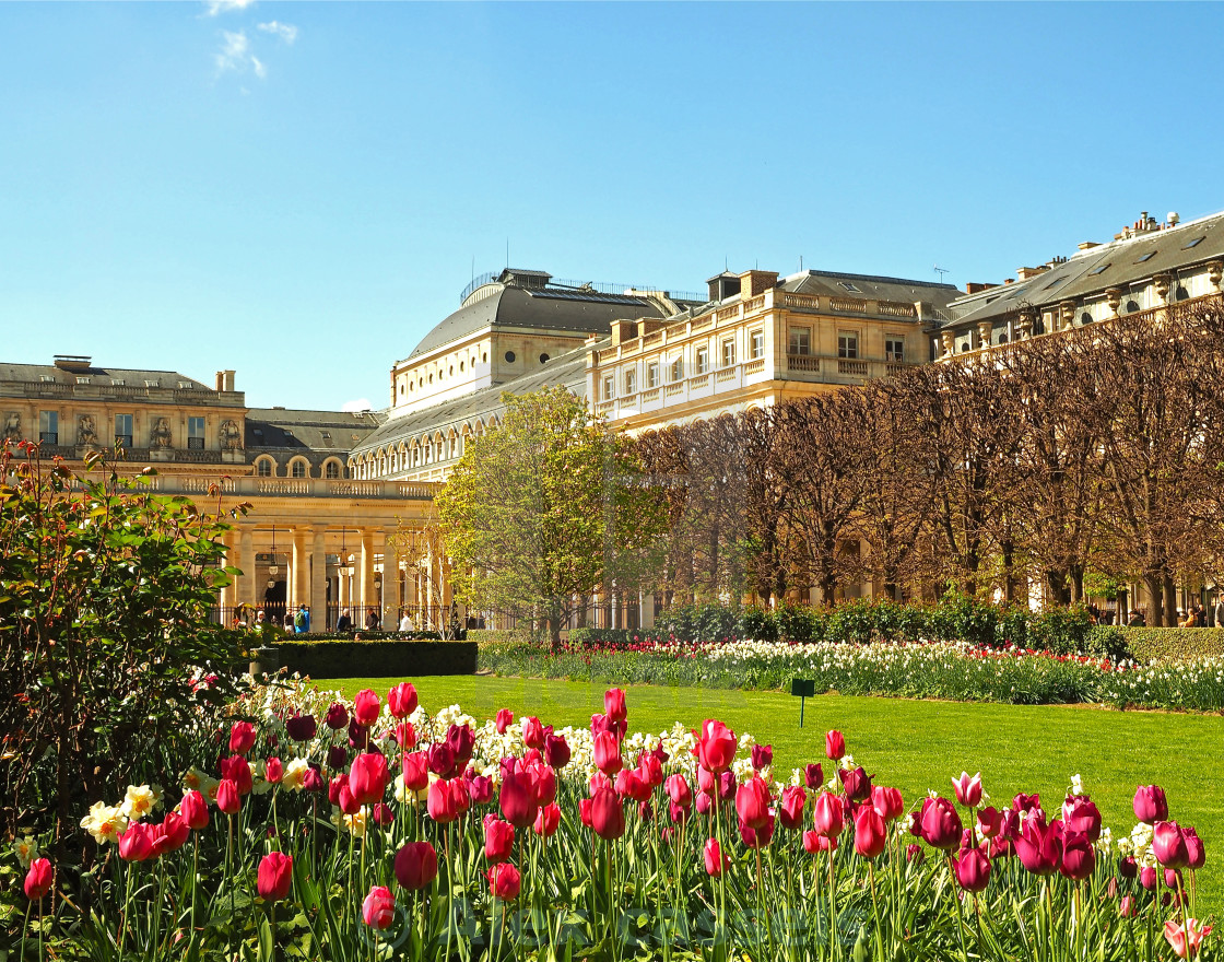 "The Palais-Royal Gardens" by Alex cassels - $31.72 "The Palais-Royal Gardens" stock image