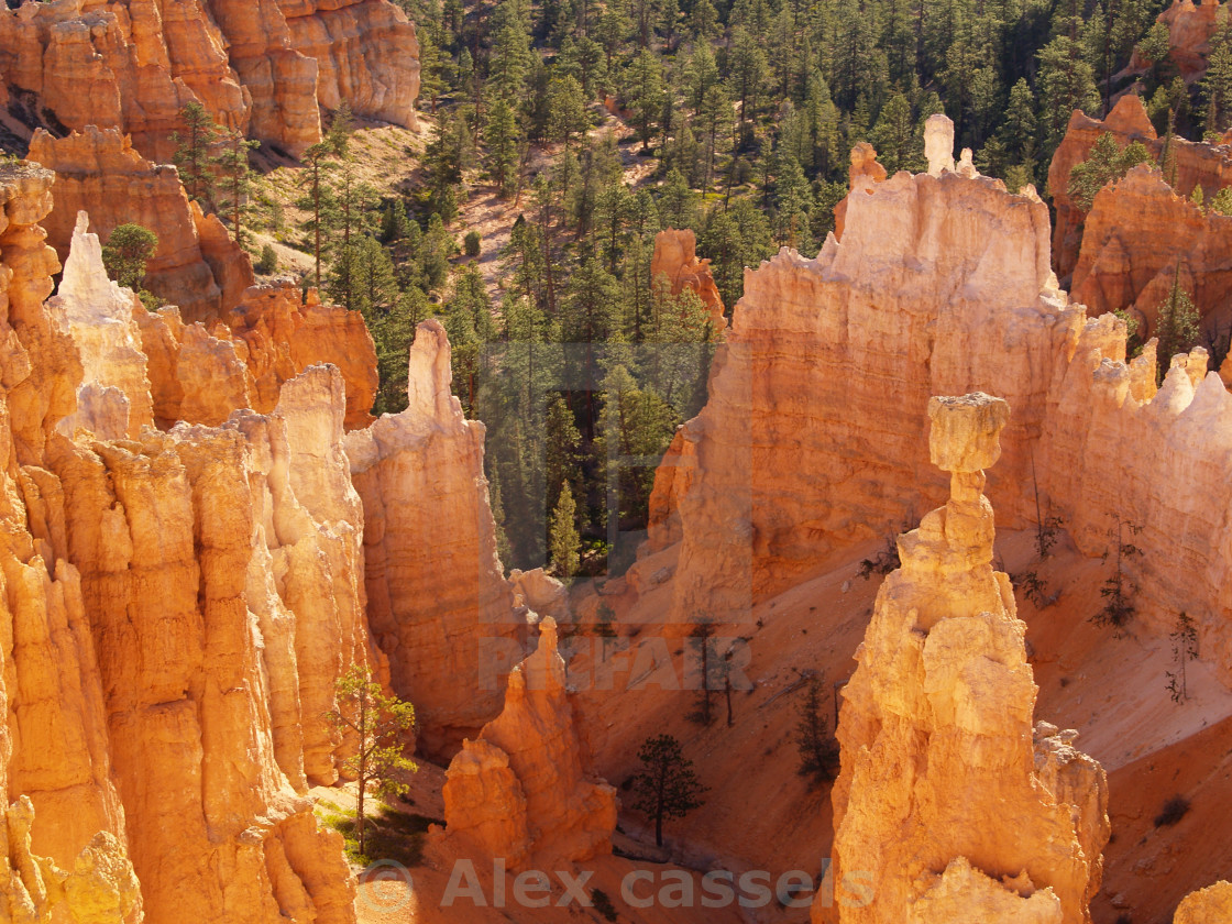 "Thor's Hammer at Bryce Canyon" stock image