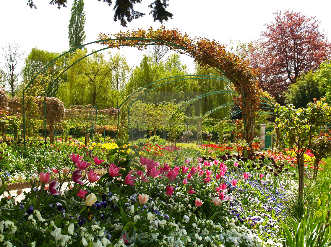 "Garden at Giverny" by Alex cassels - $31.58 "Garden at Giverny" stock image
