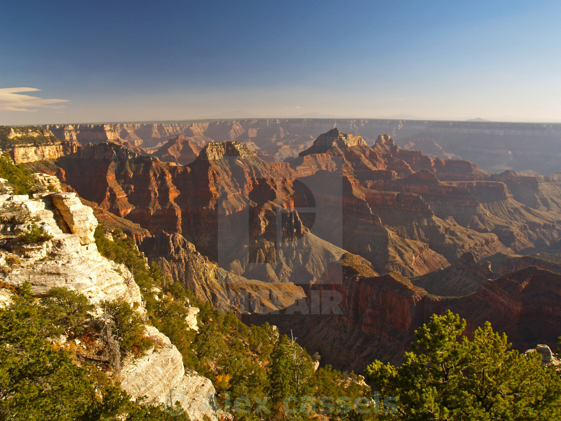 "The Grand Canyon" stock image