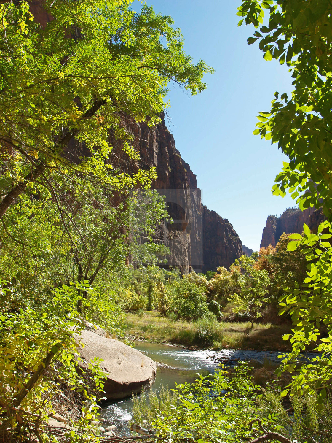 "Zion National Park" stock image