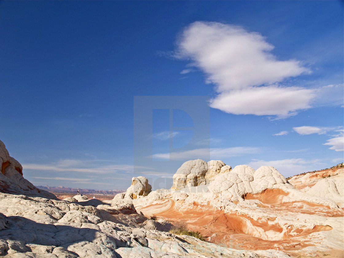 "White Pocket" stock image