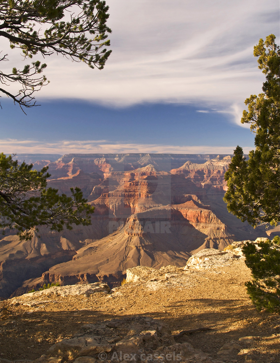 "Grand Canyon at Hopi Point" stock image