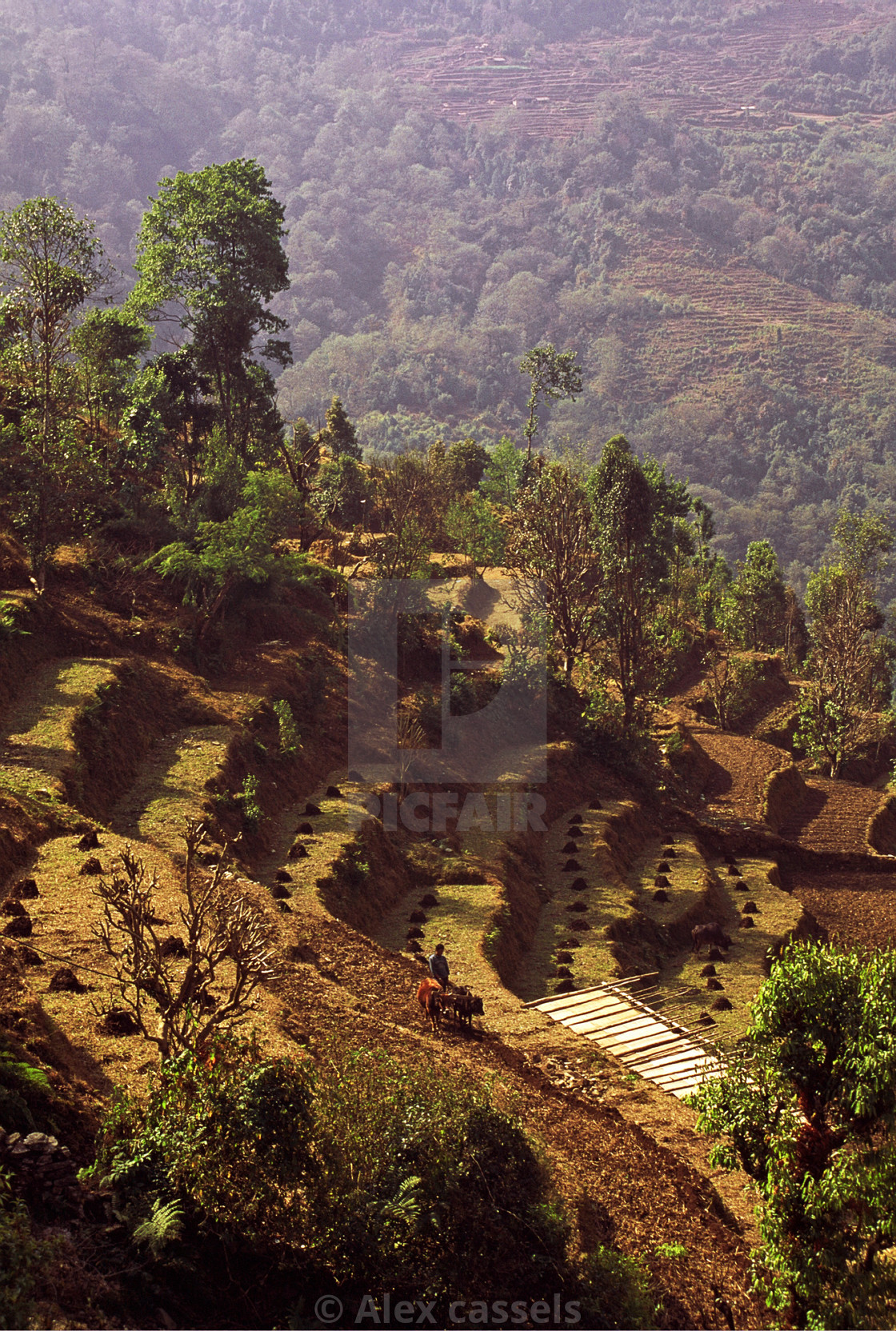 "Rural Nepal" stock image