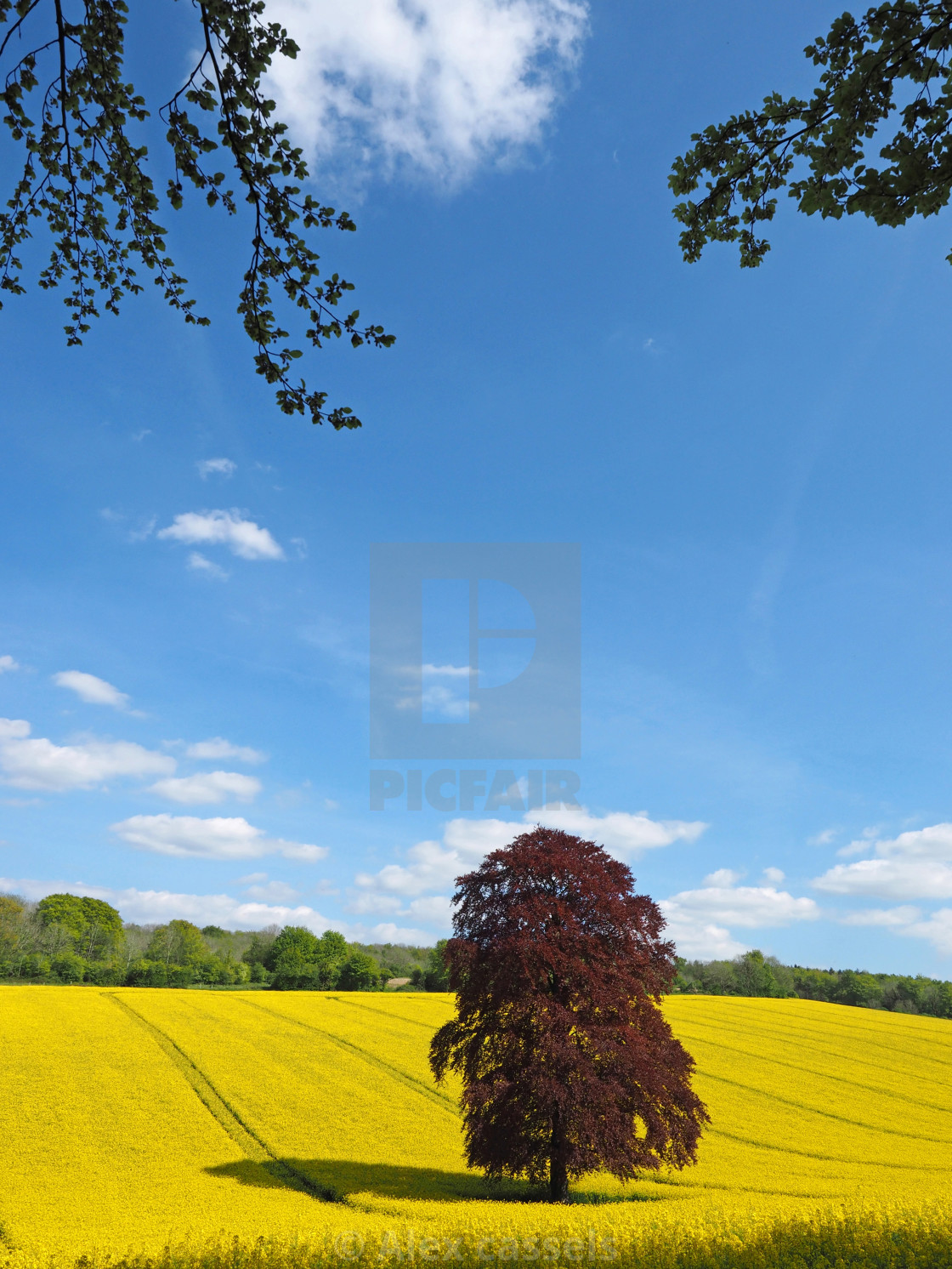 "Springtime in the Meon Valley" stock image