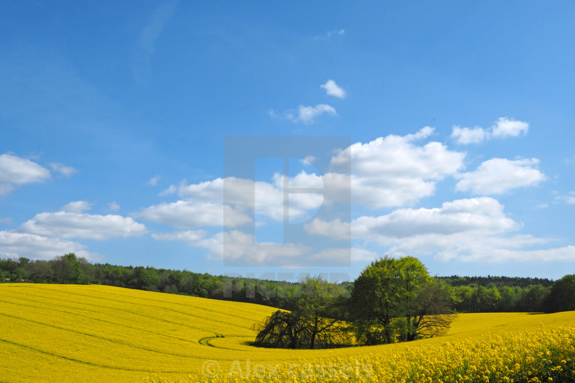 "Springtime in the Meon Valley" stock image