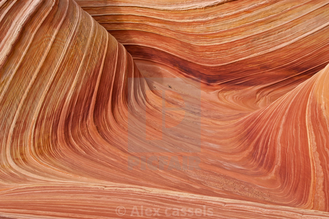 "The Wave" by Alex cassels - $31.72 "The Wave" stock image