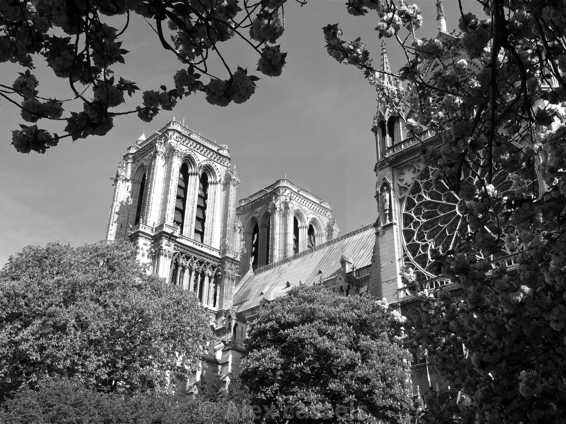 "Notre Dame in Springtime" stock image