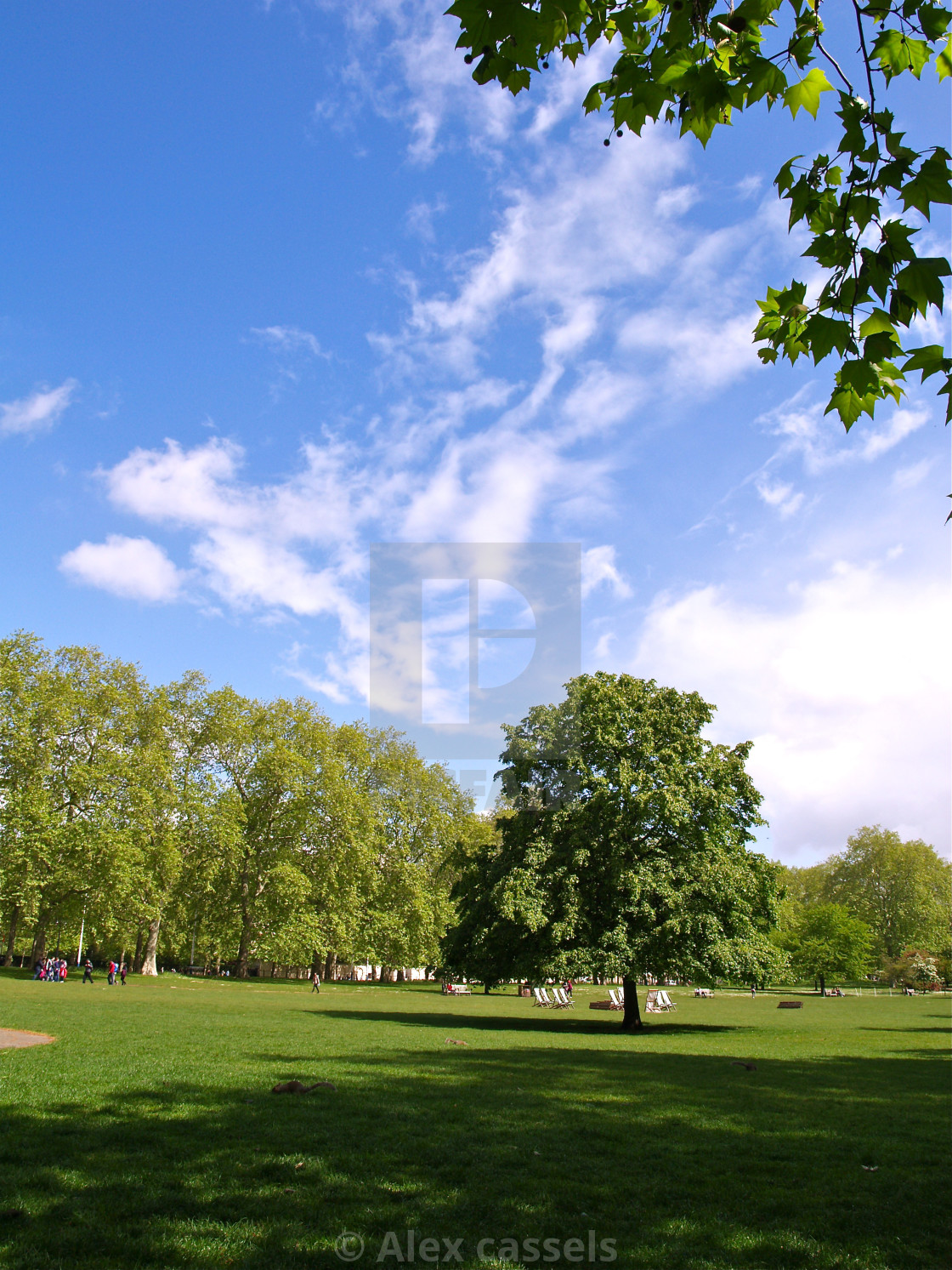 "St.James's Park" stock image