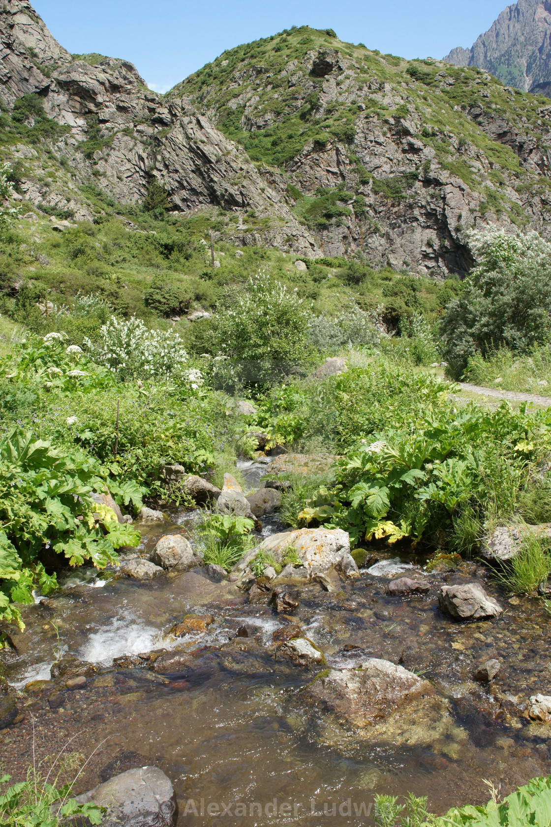 "Gveleti High Valley, Caucasus Mountains, Georgia" by Alexander Ludwig - $6.35 "Gveleti High Valley, Caucasus Mountains, Georgia" stock image