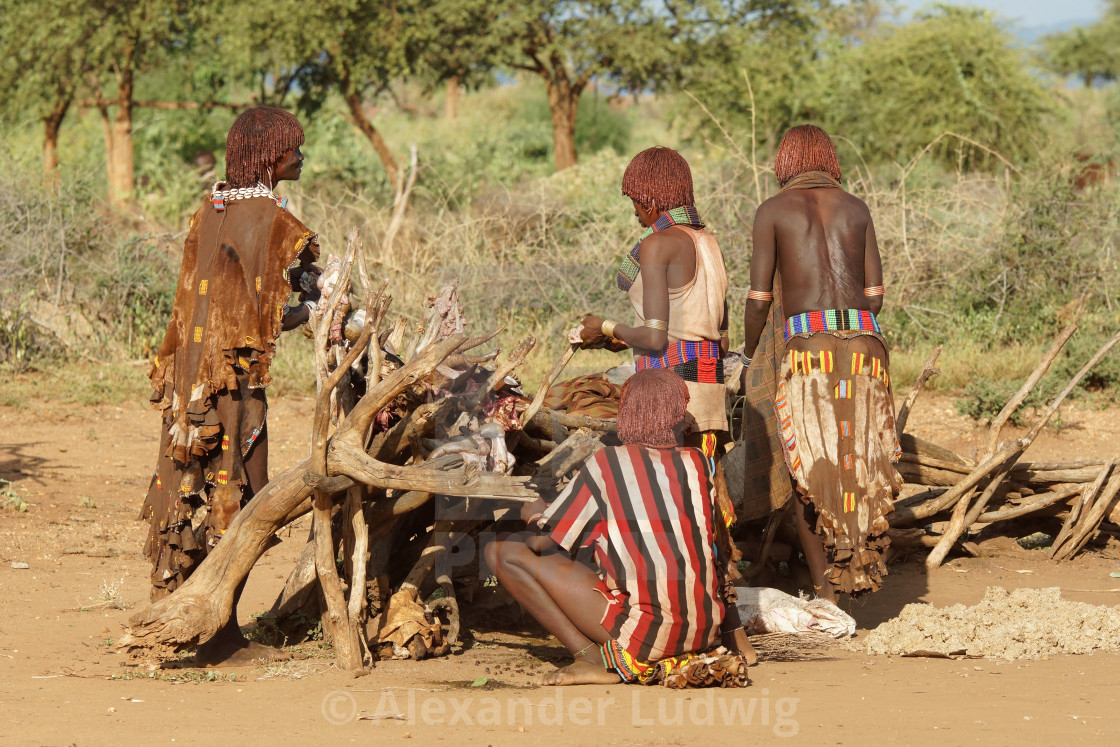 "Hamer, Ethiopia, Africa" by Alexander Ludwig - $6.35 "Hamer, Ethiopia, Africa" stock image