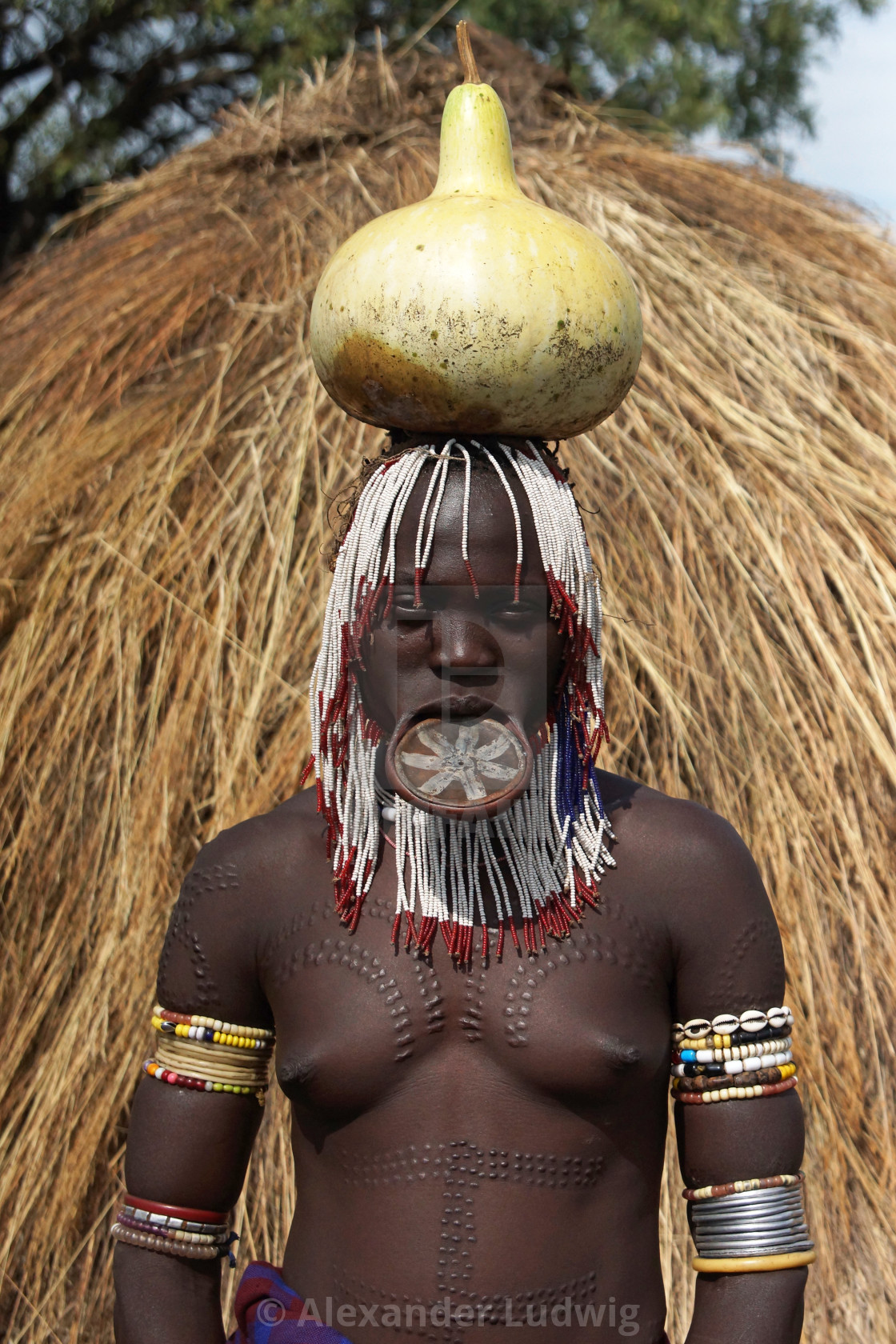 "Mursi, Ethiopia, Africa" by Alexander Ludwig - $6.28 "Mursi, Ethiopia, Africa" stock image