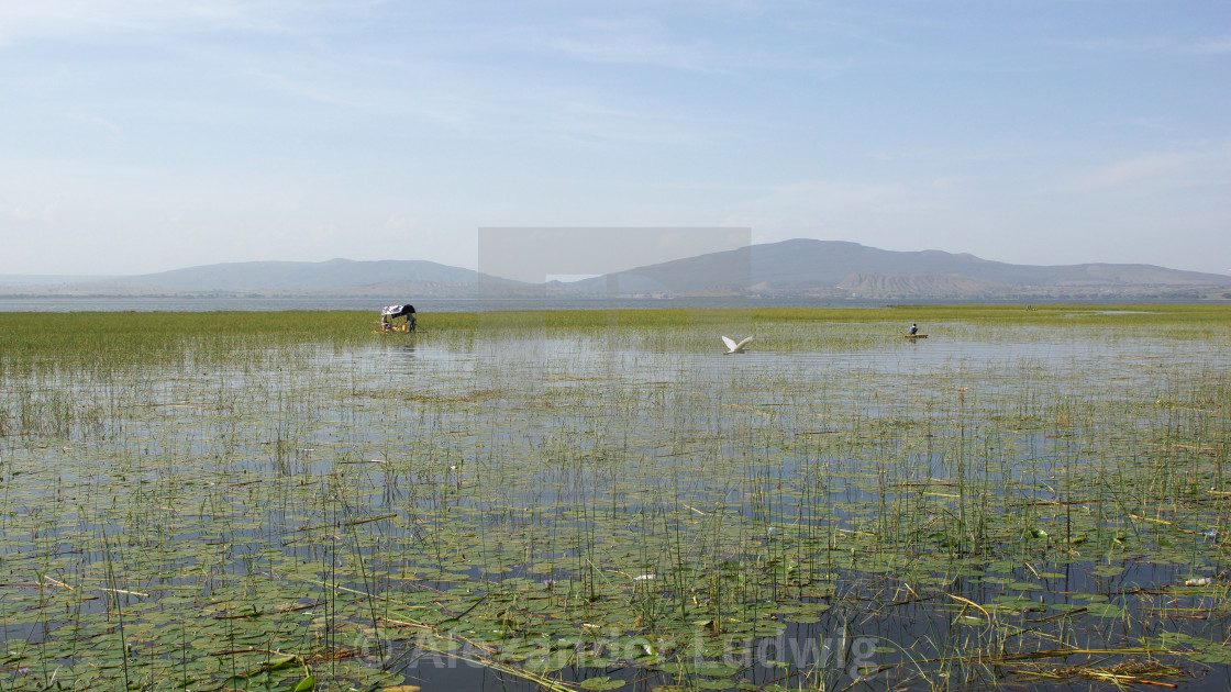 "Awassa, Ethiopia, Africa" by Alexander Ludwig - $6.28 "Awassa, Ethiopia, Africa" stock image
