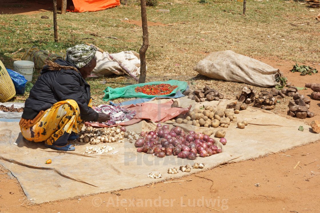 "Weekly market, Key Afer, Ethiopia, Africa" by Alexander Ludwig - $6.35 "Weekly market, Key Afer, Ethiopia, Africa" stock image
