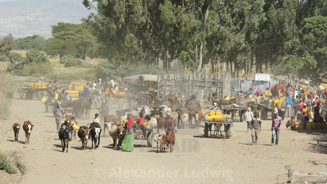 "Waterhole, Great Rift Valley, Ethiopia, Africa" by Alexander Ludwig - $6.35 "Waterhole, Great Rift Valley, Ethiopia, Africa" stock image