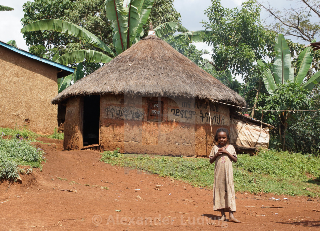 "Sidama, Ethiopia, Africa" by Alexander Ludwig - $6.29 "Sidama, Ethiopia, Africa" stock image