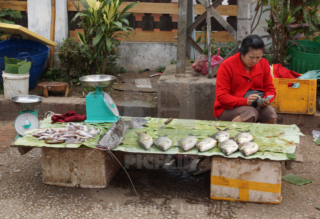 "Open air market, Luang Prabang, Laos" by Alexander Ludwig - $6.32 "Open air market, Luang Prabang, Laos" stock image