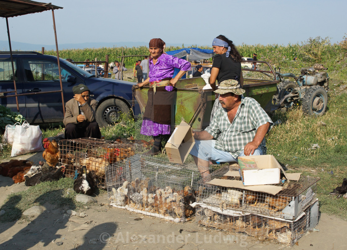 "Cattle market, Kabali, Georgia, Europe" by Alexander Ludwig - $6.29 "Cattle market, Kabali, Georgia, Europe" stock image