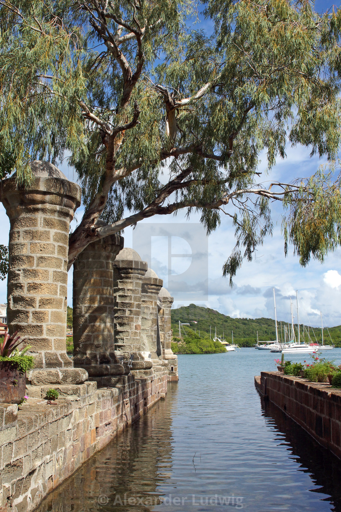 "Nelsons Dockyard, Antigua and Barbuda, Caribbean" by Alexander Ludwig - $6.28 "Nelsons Dockyard, Antigua and Barbuda, Caribbean" stock image