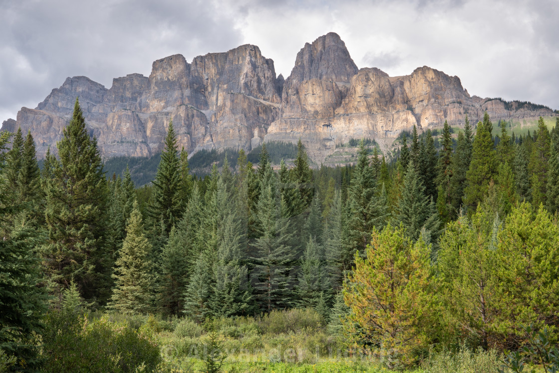 "Bow Valley Parkway, Banff National Park, Alberta, Canada" stock image