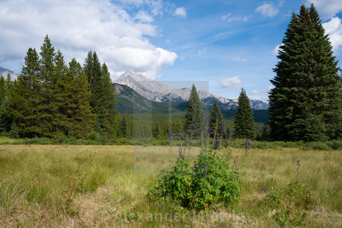 "Bow Valley Parkway, Banff National Park, Alberta, Canada" stock image