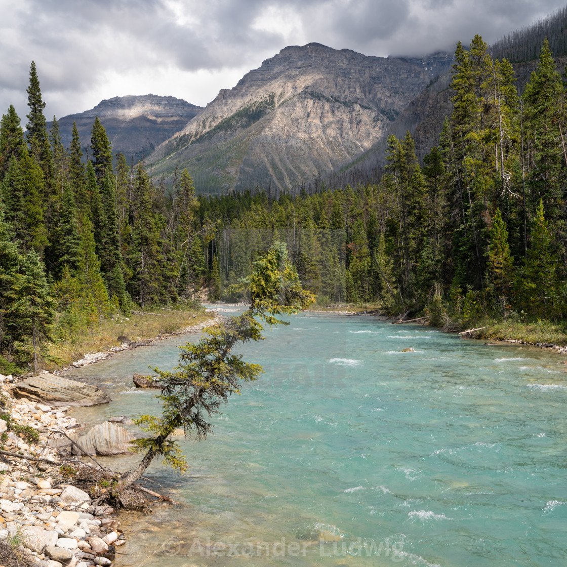 "Kootenay National Park, British Columbia, Canada" stock image