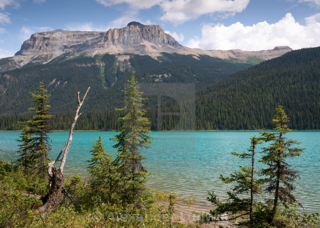 "Emerald Lake, Yoho National Park, British Columbia, Canada" stock image